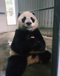 Processed with VSCOcam with c1 preset