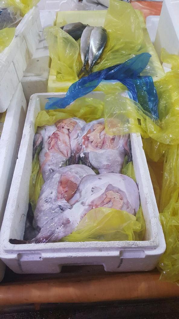 resized_20161029_145646