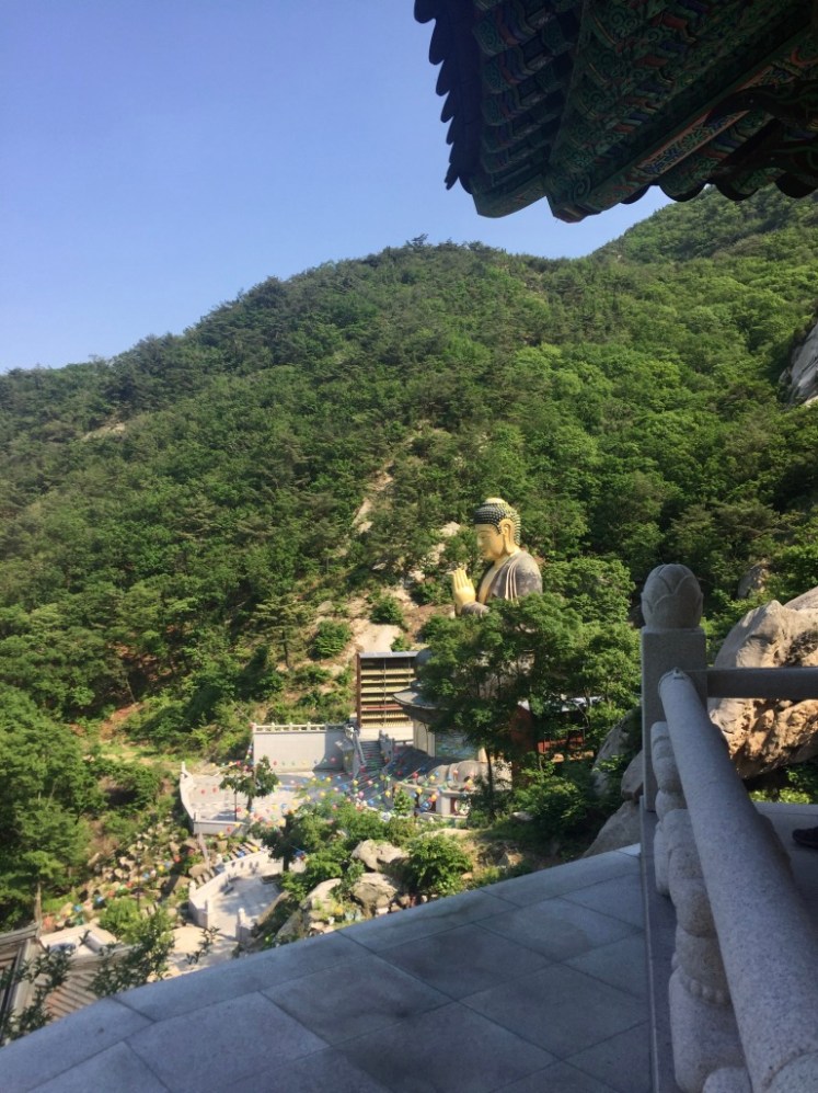 zjhivlpxqccuwst9v02u0w_thumb_37ff