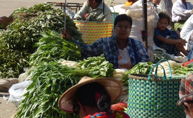 34QhpAroTRi6Gx%KToSrzQ_thumb_421a