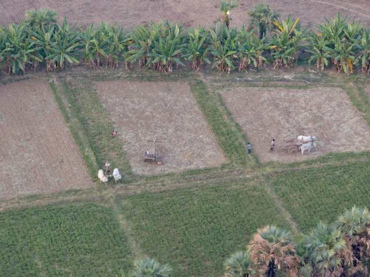 ApgvK5JlTWWjkwU3TZnqRg_thumb_42f8