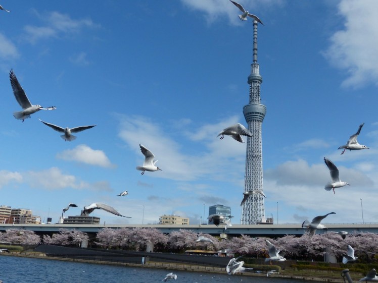 fIS+f6LYQFmJU5sYoXg%MA_thumb_45fc