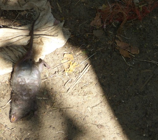 JoDJzDCOQ7CoFqN%kJbjeg_thumb_422b