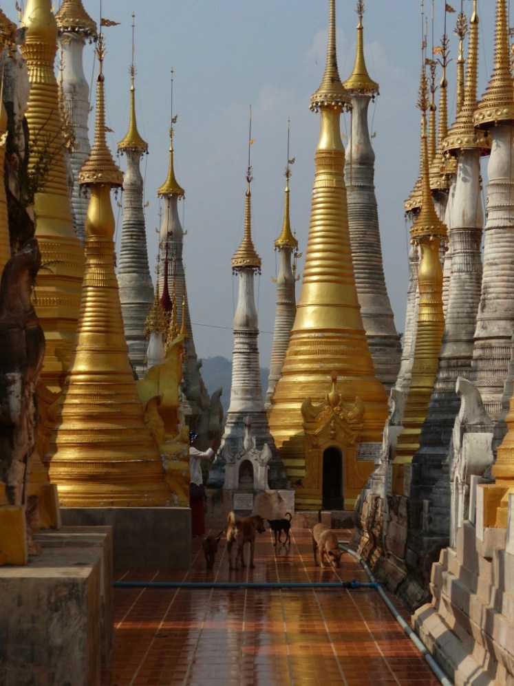 P1hj69YMRQ6z7RJ%YCGz6g_thumb_43e8