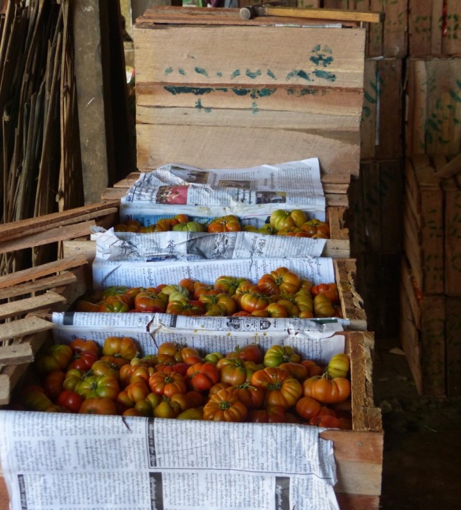 qgAU2YSpSQ+zK%GtVBCpeQ_thumb_423e