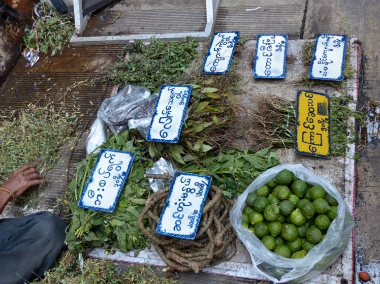 tD90HnvHSBOtUUFgpPdS0g_thumb_41b2