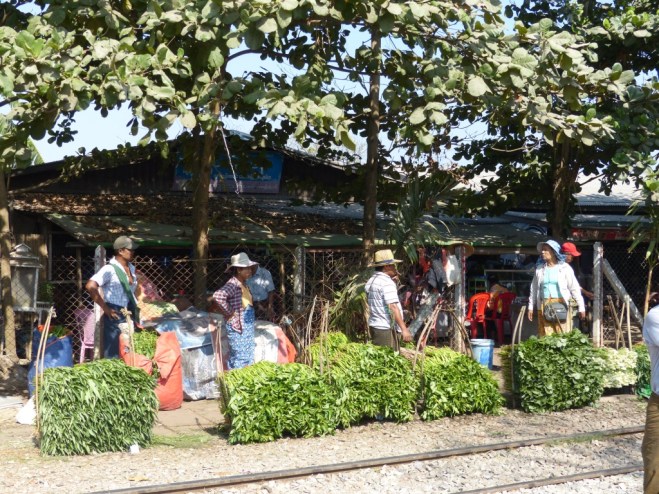 UNADJUSTEDNONRAW_thumb_4224