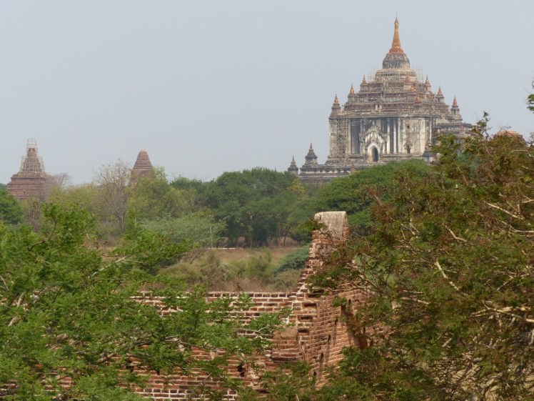 UNADJUSTEDNONRAW_thumb_4341