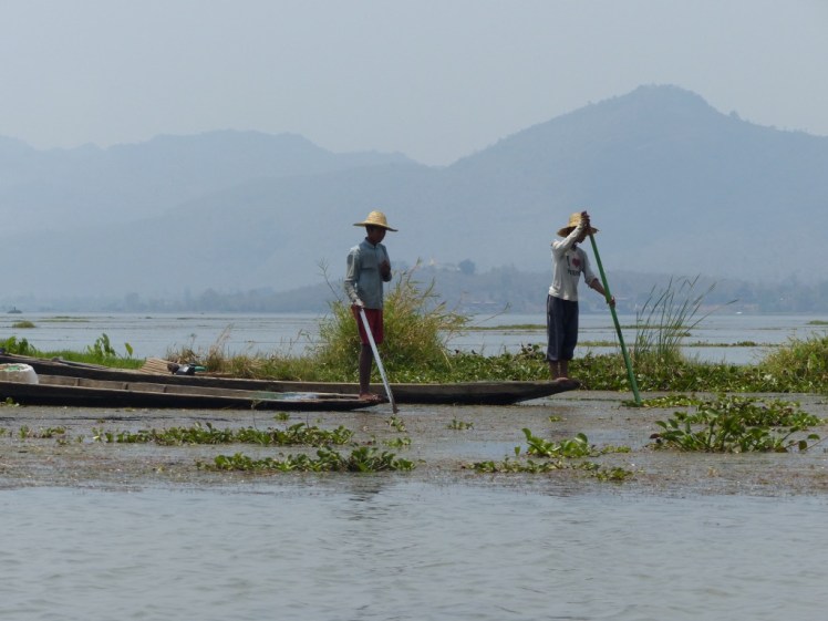 UNADJUSTEDNONRAW_thumb_43aa