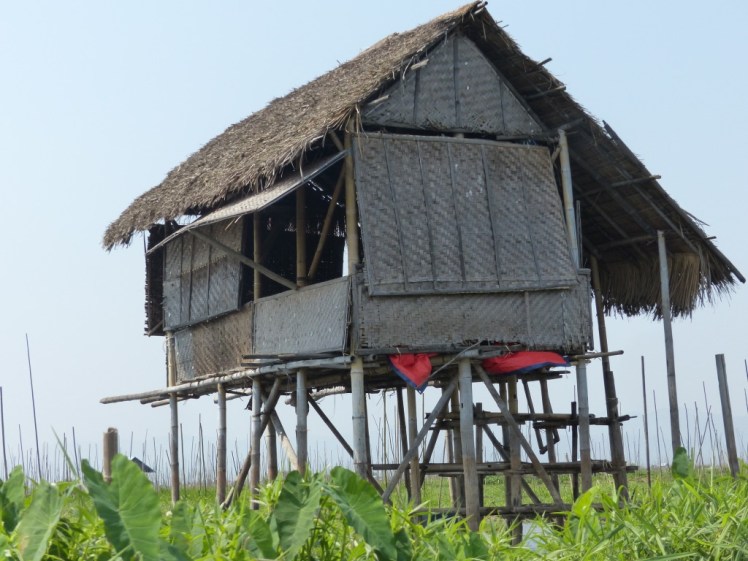 UNADJUSTEDNONRAW_thumb_4426