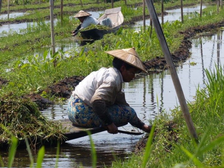 UNADJUSTEDNONRAW_thumb_442b