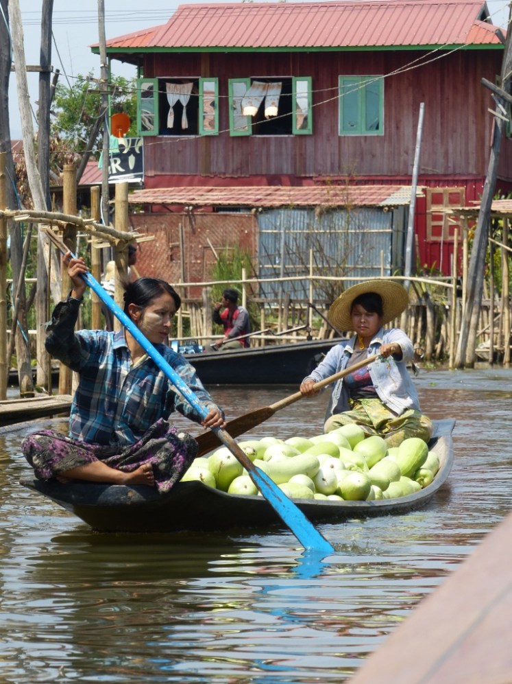 UNADJUSTEDNONRAW_thumb_443c