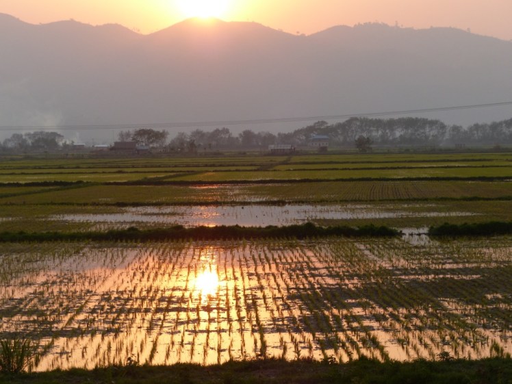 UNADJUSTEDNONRAW_thumb_4562