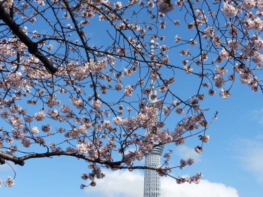 UNADJUSTEDNONRAW_thumb_4602