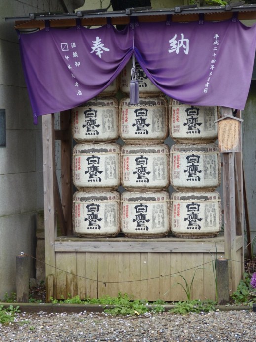 UNADJUSTEDNONRAW_thumb_463d