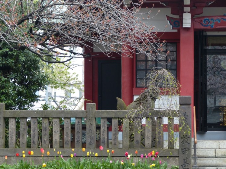 UNADJUSTEDNONRAW_thumb_463e