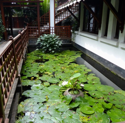 UWRy8ISTQaq0SQuK6PRbdA_thumb_4191