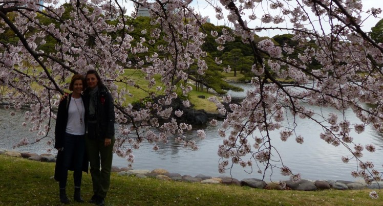 vTRcgekpThSP649sR9QPbQ_thumb_45dc