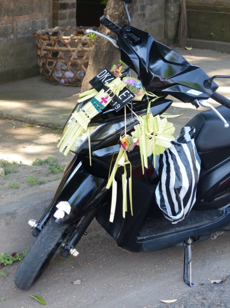 UNADJUSTEDNONRAW_thumb_4733