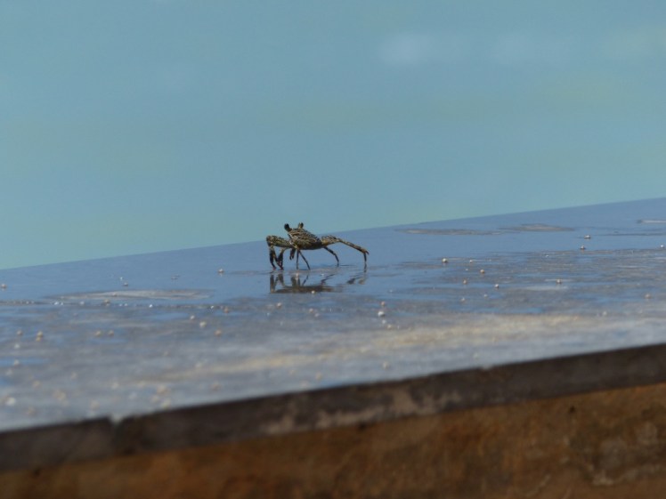 UNADJUSTEDNONRAW_thumb_4753