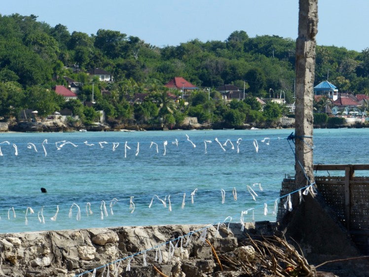 VRSb+3lyT3y7BkC1A0sFAw_thumb_4769