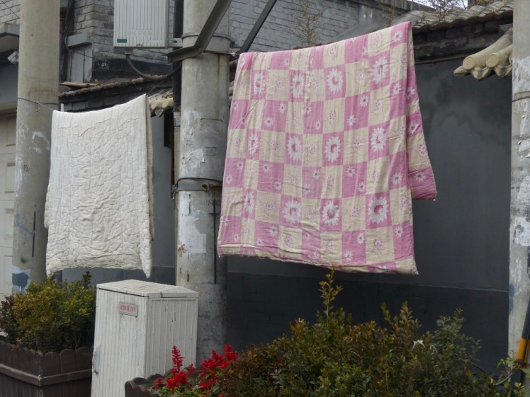 8+66UFu3RJOF7ro+p+QFfA_thumb_4cd7