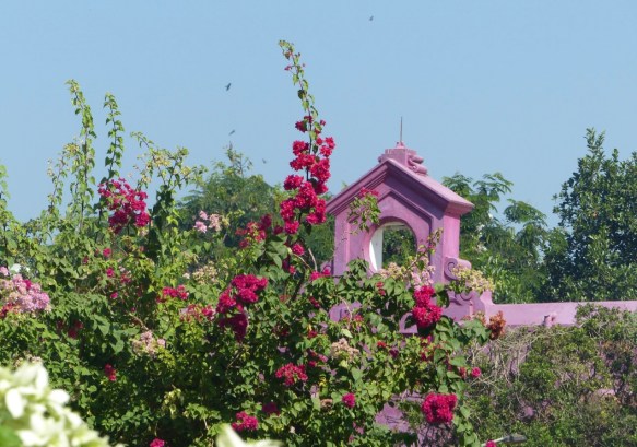 ADpwCX6yQ3+3WYoqFQW0Qw_thumb_4d42