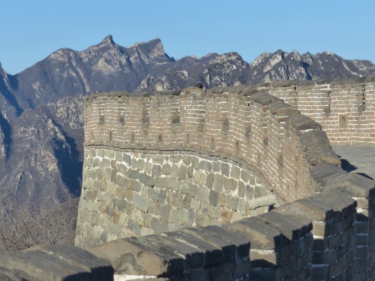 blr7ydOzSAeIIh9qNEm0UA_thumb_4c0e