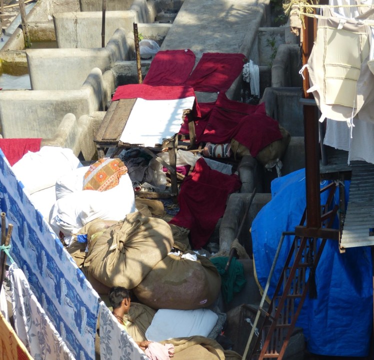 Eqyw8Zp1RaS3Do6a9usxkg_thumb_4d5e