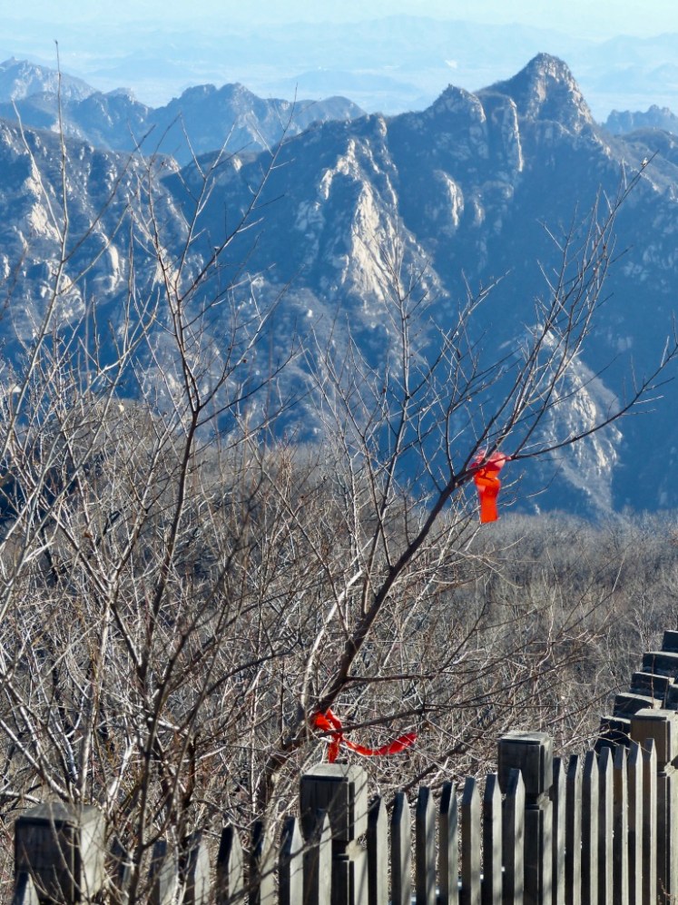 F+25LlM9QQWjzWcSjmLbTQ_thumb_4c66