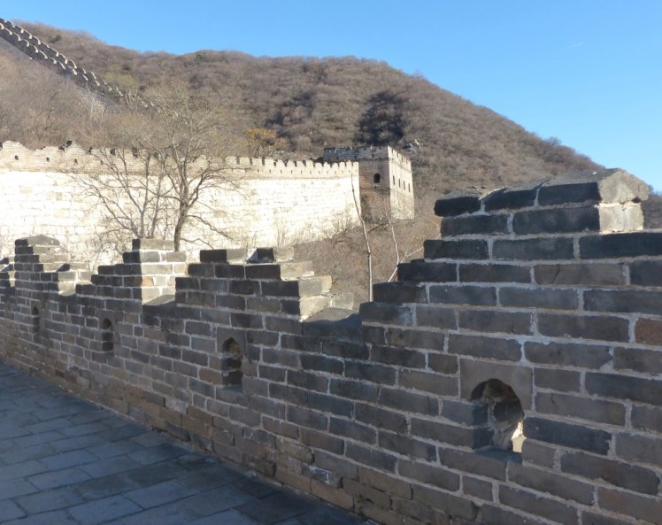 hXdQ1GvZRmqWKbRfgP6HGg_thumb_4c22