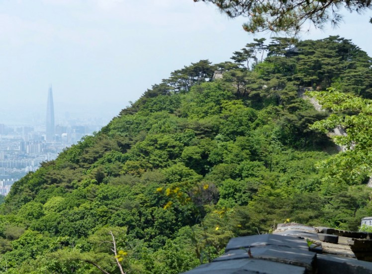 OG%L120NQJaGEhkUdhZdhA_thumb_4854