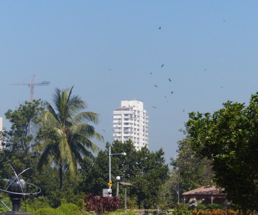 qTee27JfTUaBcOAwLZ0cfg_thumb_4d40