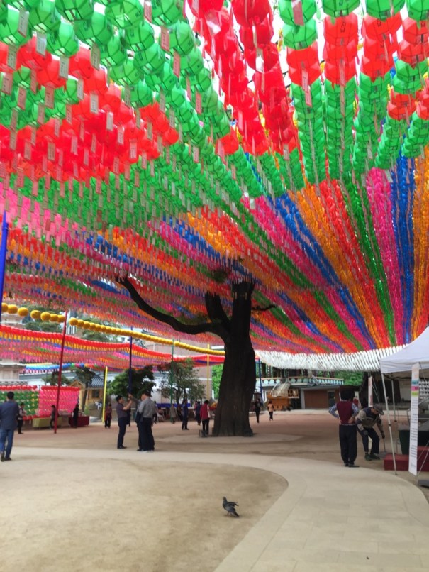 UNADJUSTEDNONRAW_thumb_37bc