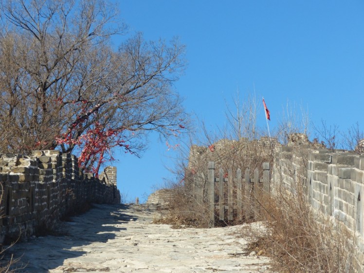 UNADJUSTEDNONRAW_thumb_4c50