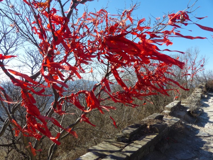 UNADJUSTEDNONRAW_thumb_4c52