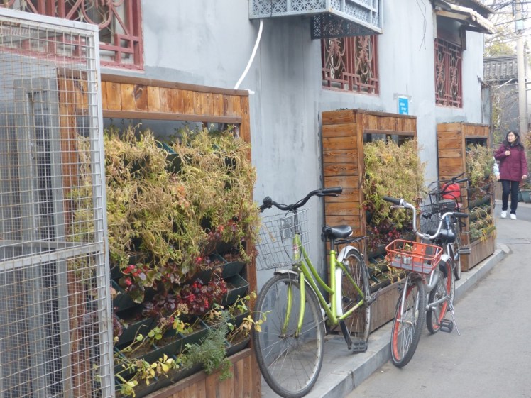 UNADJUSTEDNONRAW_thumb_4cdb