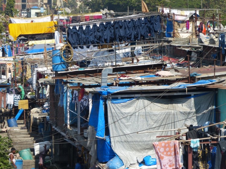 UNADJUSTEDNONRAW_thumb_4d5d