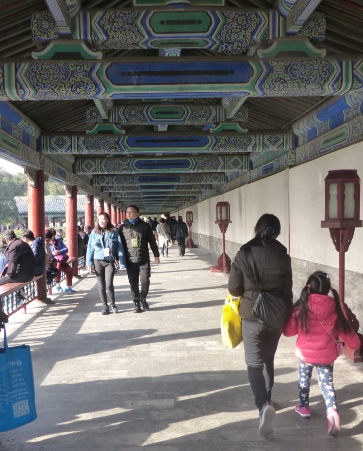 VpJVjNMQRE2wDL7NYNSp0Q_thumb_4ca1