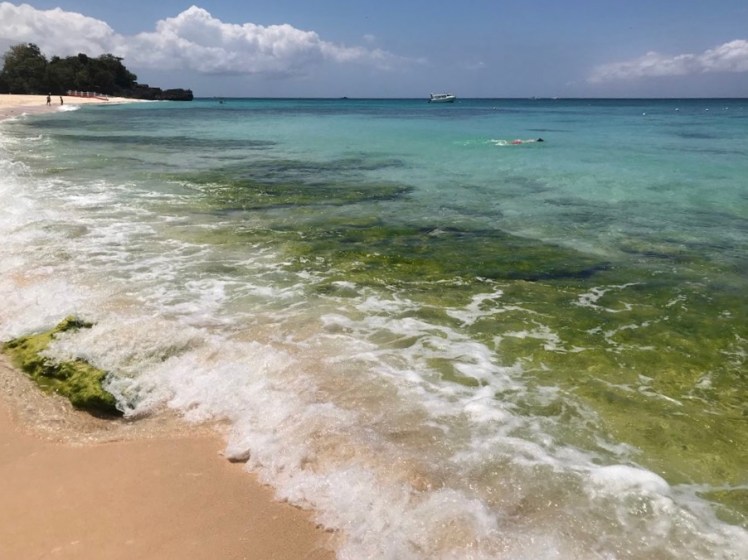 sDdqy%ofQrO3oJQx1wh0WA_thumb_5078