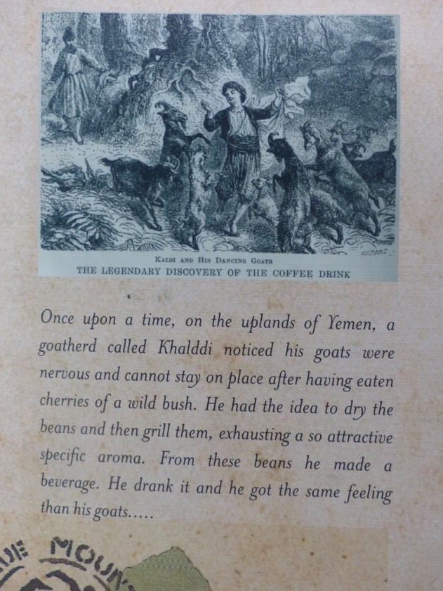 UNADJUSTEDNONRAW_thumb_50c7