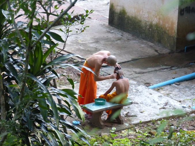 UNADJUSTEDNONRAW_thumb_50fe