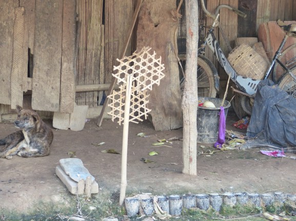 UNADJUSTEDNONRAW_thumb_5131