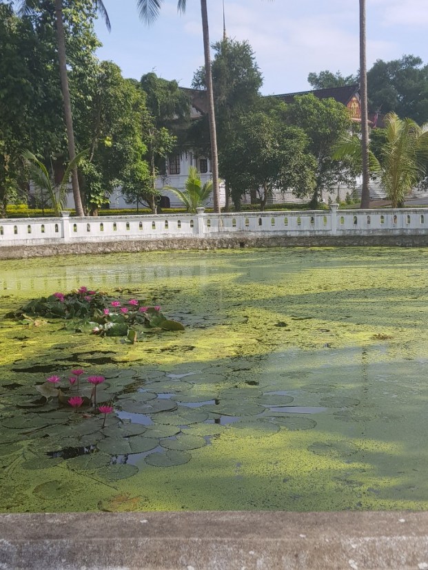 UNADJUSTEDNONRAW_thumb_51e8