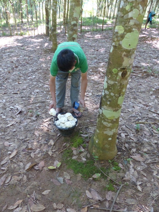 UNADJUSTEDNONRAW_thumb_5171