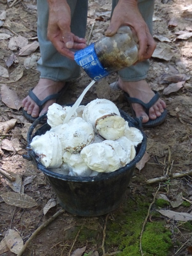 UNADJUSTEDNONRAW_thumb_5172