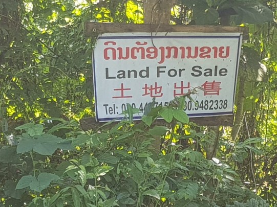 UNADJUSTEDNONRAW_thumb_51df