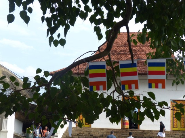 2S2F+vPpT1y%GiJPJPZjYw_thumb_5316