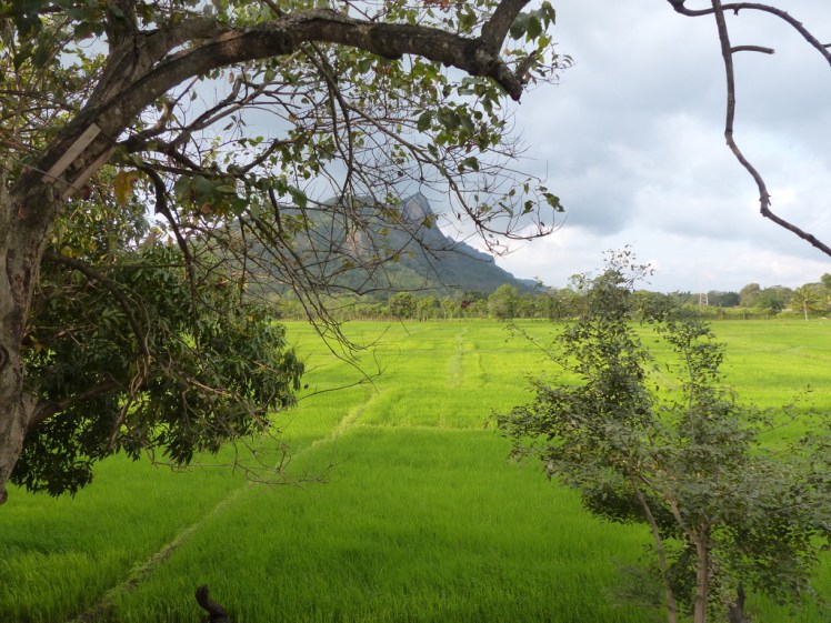 UNADJUSTEDNONRAW_thumb_5325