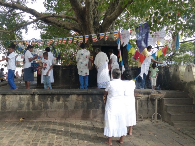 ZPkJvYJKSZSSSKilbJ1YHA_thumb_5314